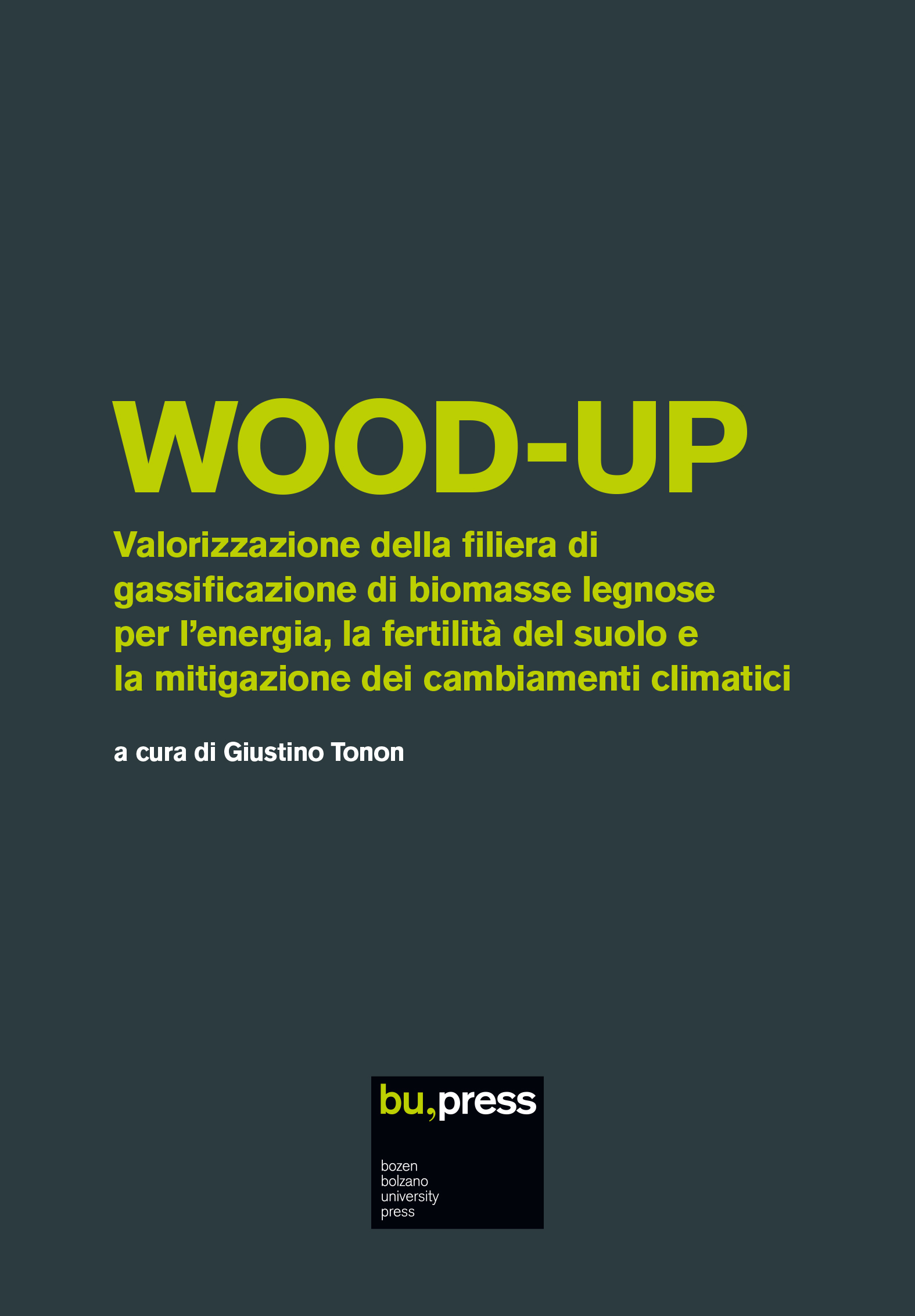 Cover of WOOD-UP – Valorizzazione della filiera di gassificazione di biomasse legnose per l’energia, la fertilità del suolo e la mitigazione dei cambiamenti climatici