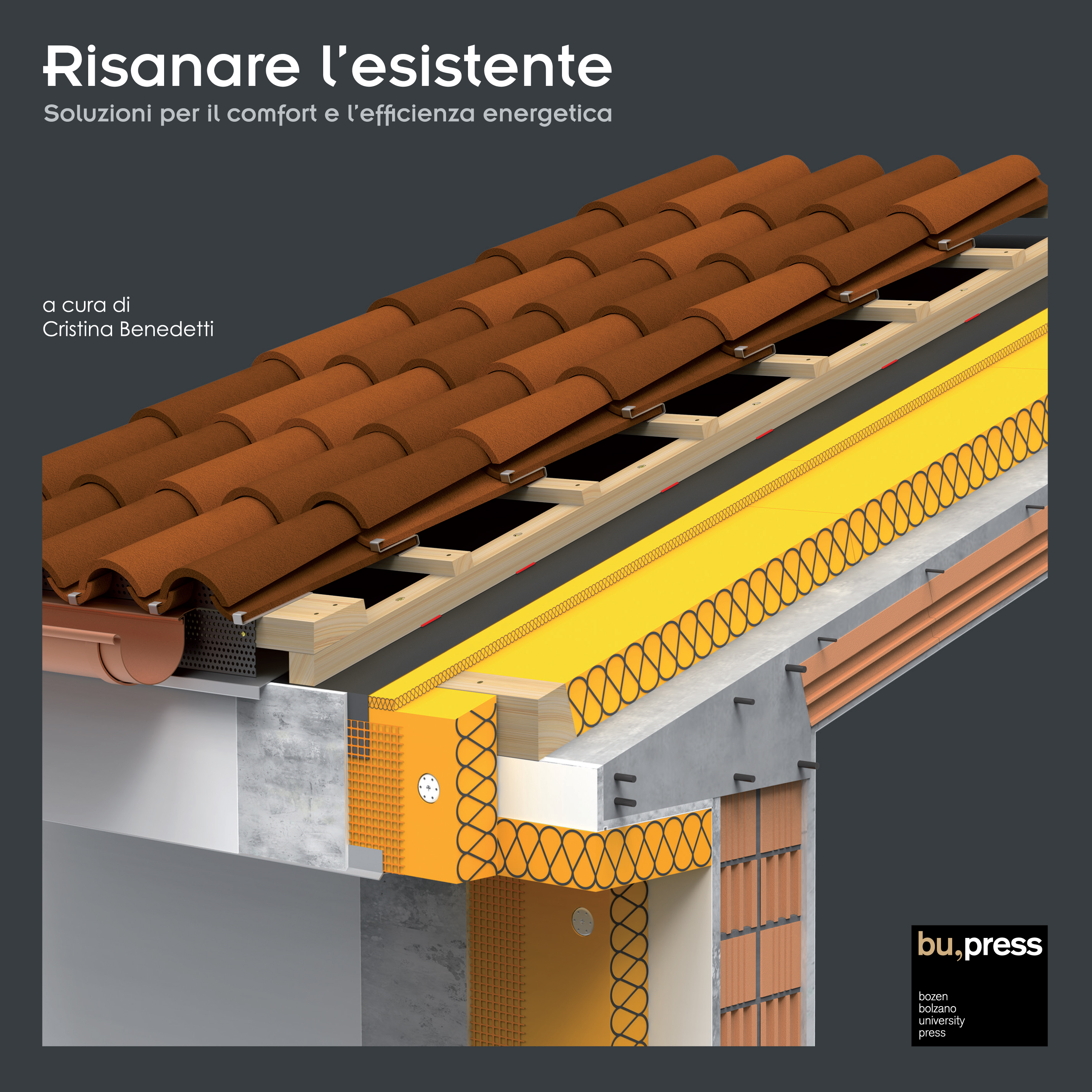 Cover of Risanare l'esistente